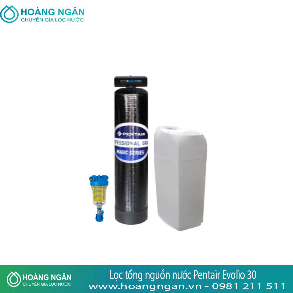 Hệ thống lọc tổng nguồn nước Pentair Evolio 30