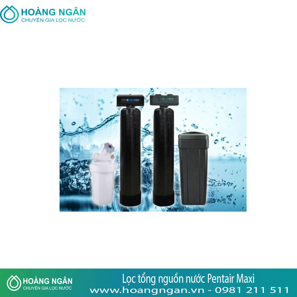 Hệ thống lọc tổng nguồn nước Pentair Maxi