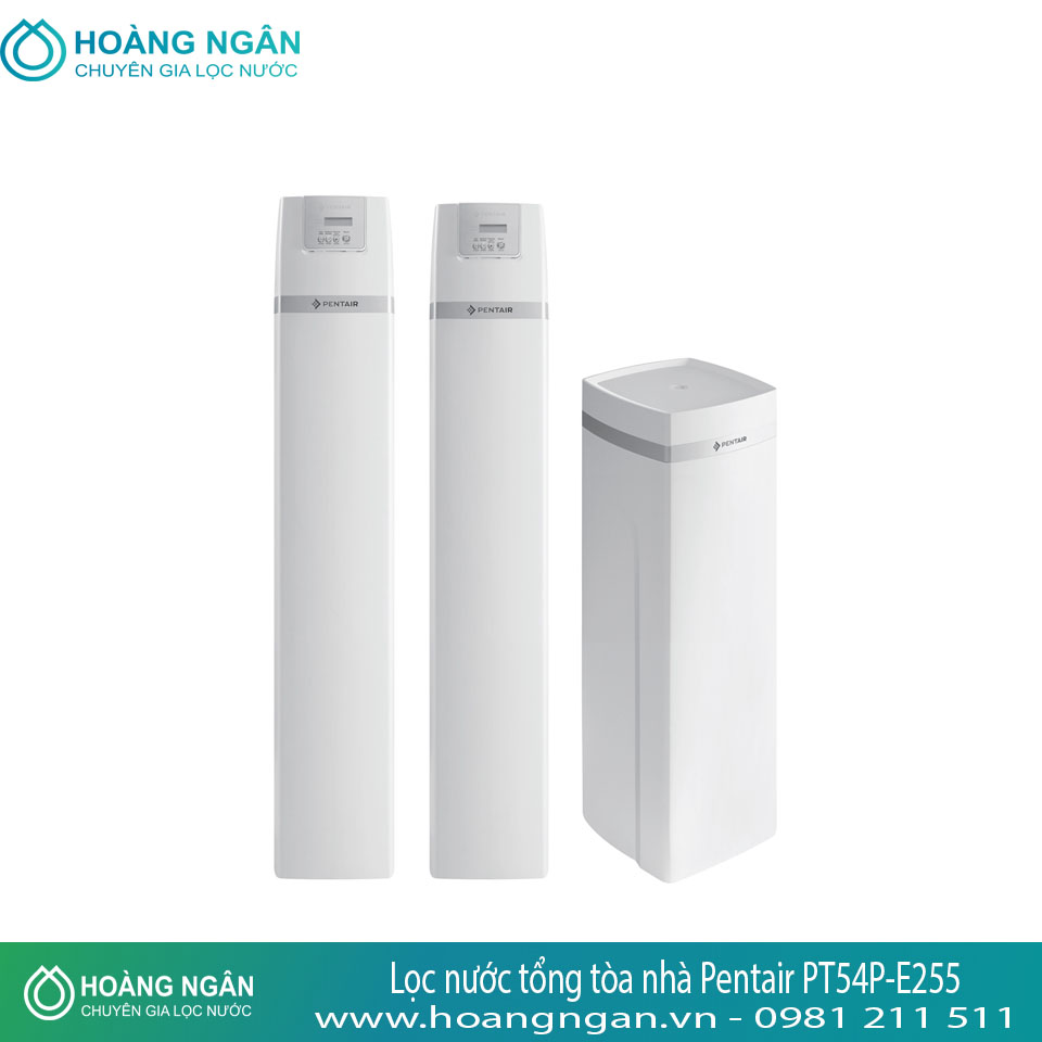 Hệ thống lọc nước tổng tòa nhà Pentair PT54P-E255