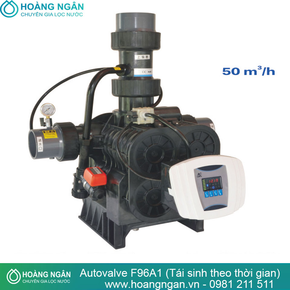 Autovalve F96A1 (Tái sinh theo thời gian)