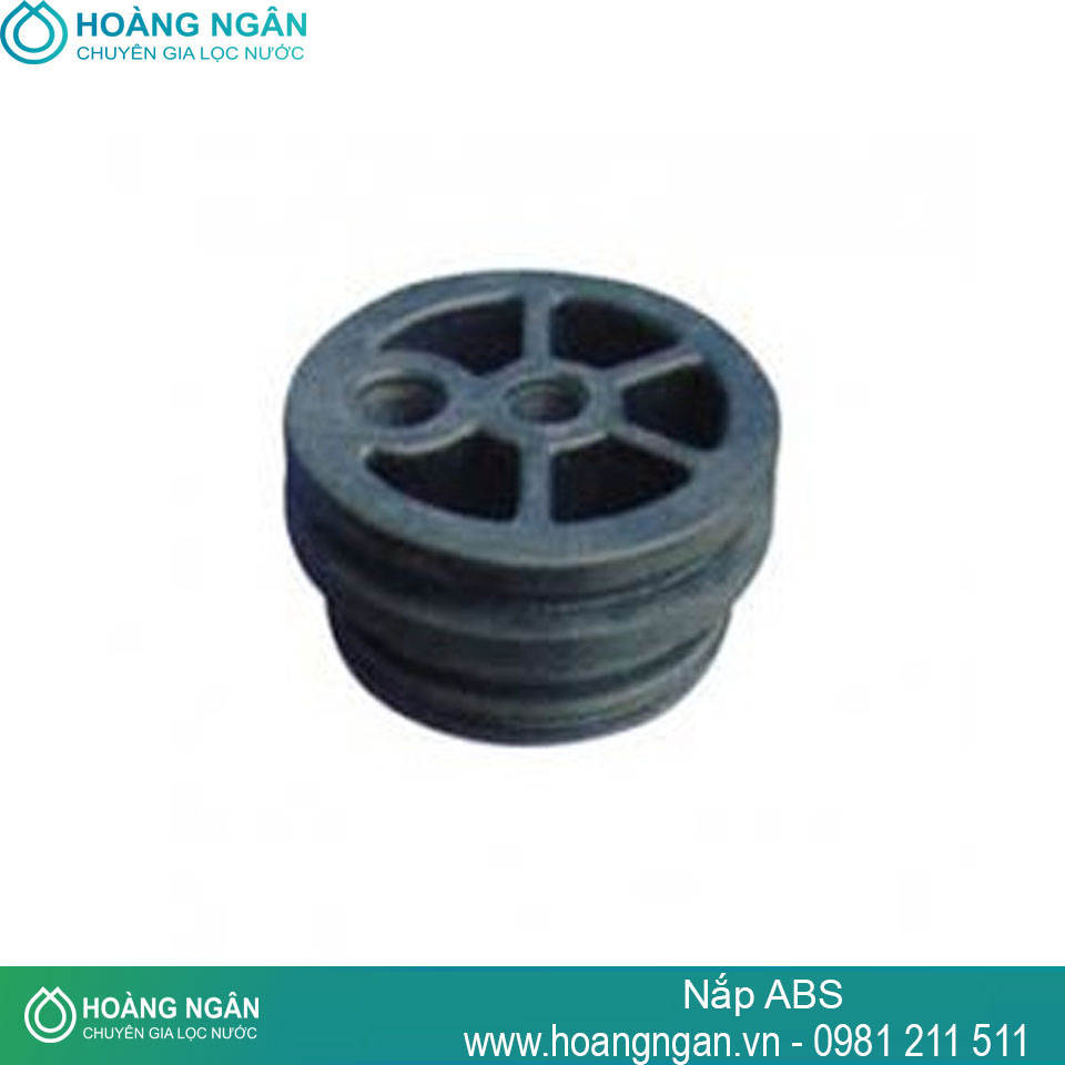 Nắp ABS