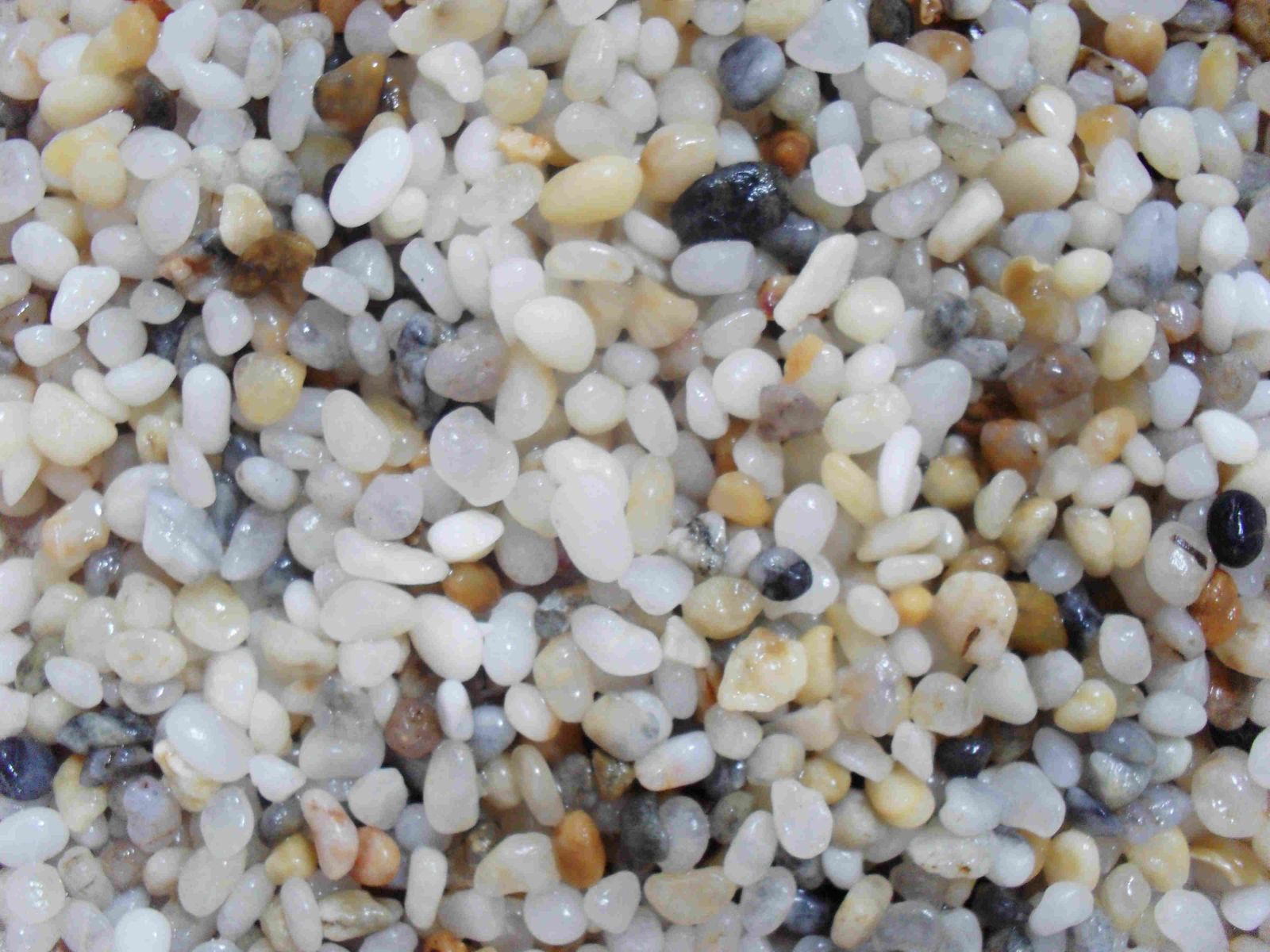 Sỏi thạch anh - STA