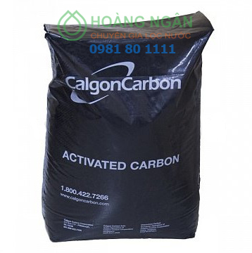 Than hoạt tính Calgon Carbsorb 40 - Mỹ